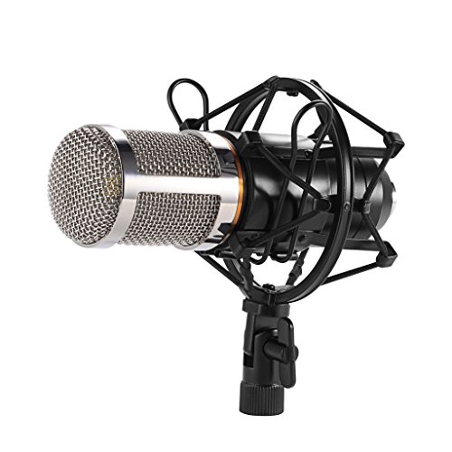 ZINGYOU Condenser Microphone Kit, BM-800 Mic Set with Adjustable